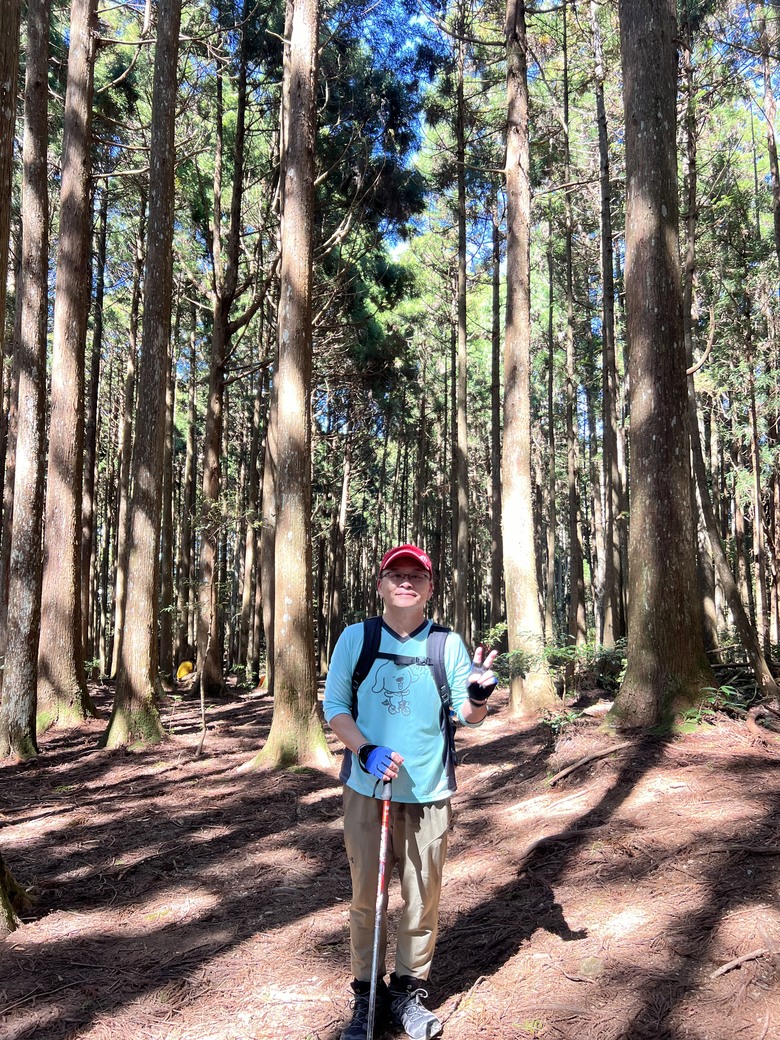 有點累又不會太累的高島縱走