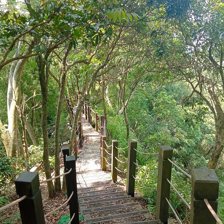 潭子新田登山步道能順便踩點旁邊的小百岳「聚興山」，生意盎然適合全家大小的綠色步道，帶你全部走一趟