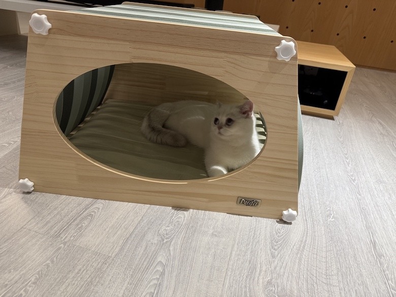 組裝簡單又好看! PETSFIT Modern Style Wood Cat House with Soft Mat 貓屋開箱