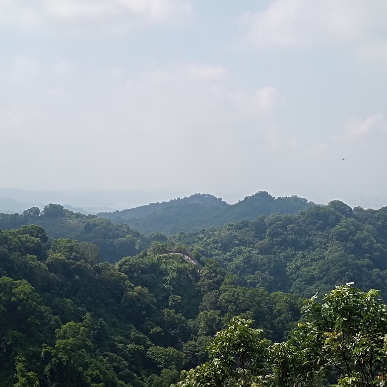 潭子新田登山步道能順便踩點旁邊的小百岳「聚興山」，生意盎然適合全家大小的綠色步道，帶你全部走一趟