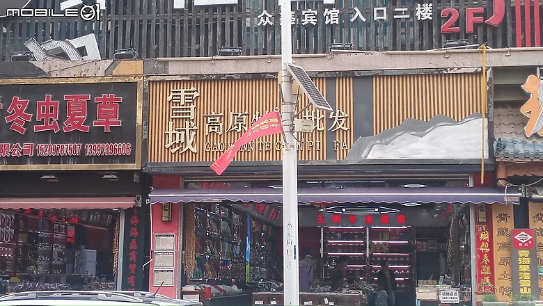 瘋狂之旅 人類禁區-可可西里（1）緣起