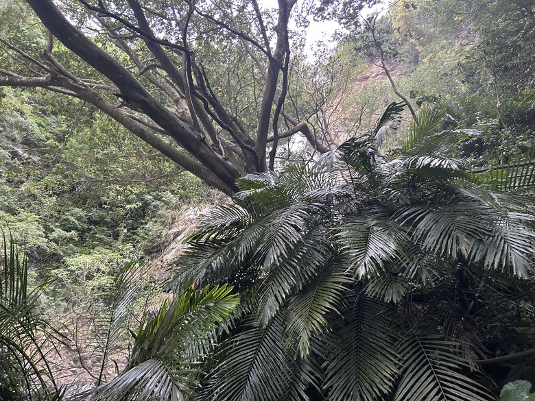 登山健行最親民的知本白玉瀑布