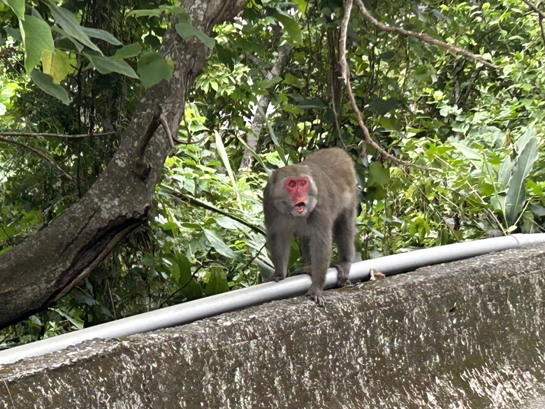 登山健行最親民的知本白玉瀑布