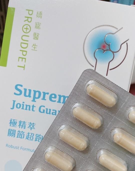 不知不覺狗勾已經陪著我變老