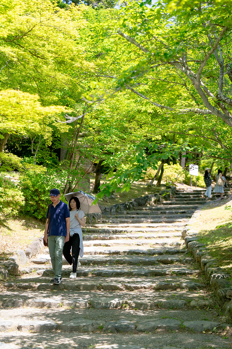 【關西】獨旅，京都古城篇(一)