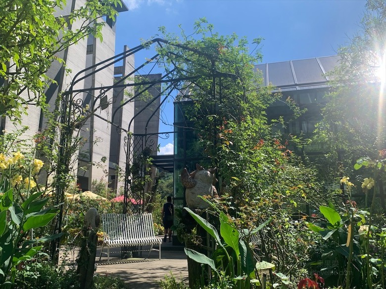 點我看大圖 七里香玫瑰森林花園,一年四季都有不同的風情,走走步道呼吸芬多精,春秋兩季有玫瑰花海可欣賞