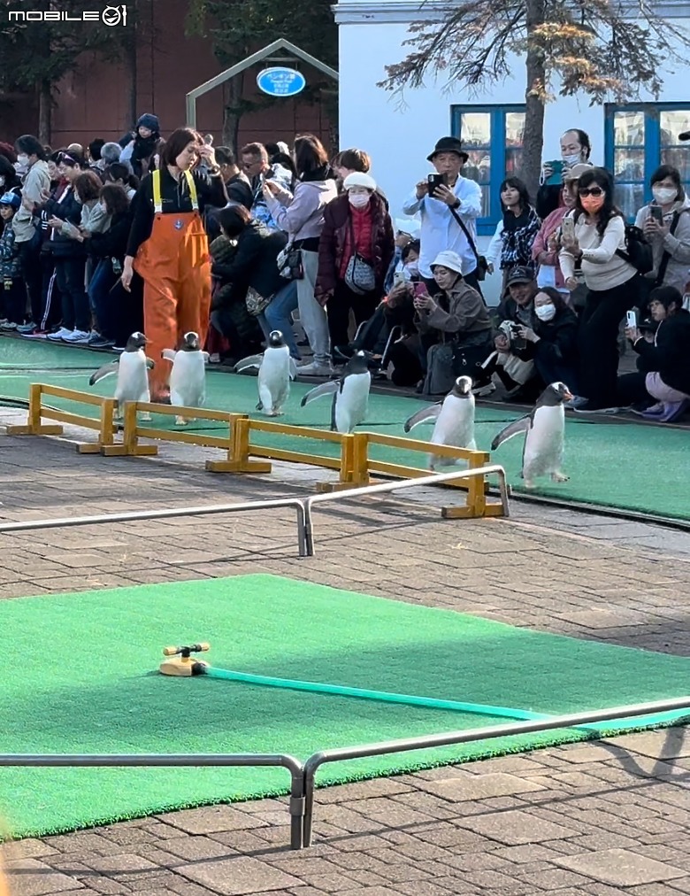 北海道 尼克斯海洋公園PK小樽水族館