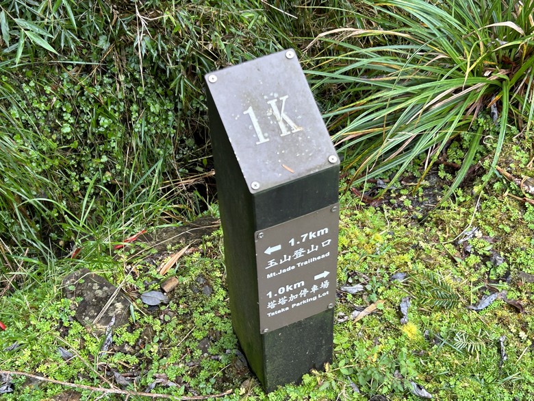 登麟趾山 朝聖台灣之巔玉山