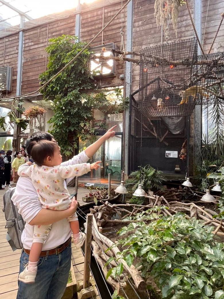 【新竹親子農場推薦】3 間北部親子農場分享，羊駝散步、採果拔菜通通有！