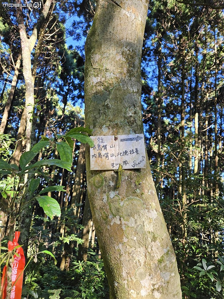 外鳥嘴+那結山O繞~山林溪水滿滿芬多精