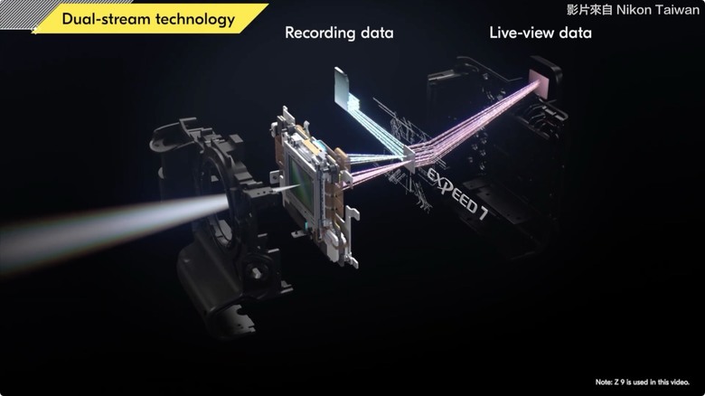 Nikon Zf 開箱 + 拍照、N-Log 錄影實測！把 Z9、Z8 旗艦功能塞進 FM2 的經典外型，一台能夠體驗百年光學魅力，連 Leica、Sony 鏡頭也能轉接的「有靈魂的相機」