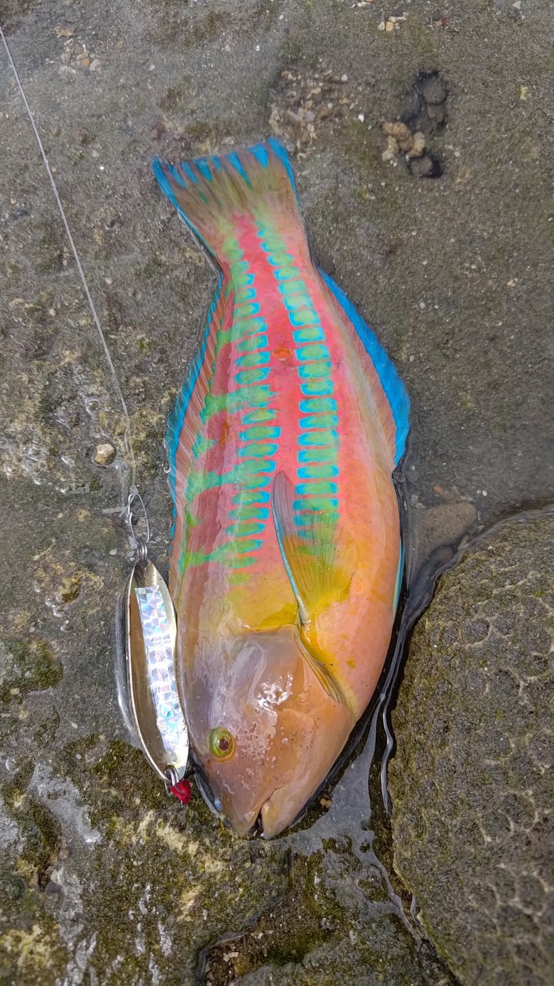 根釣小物