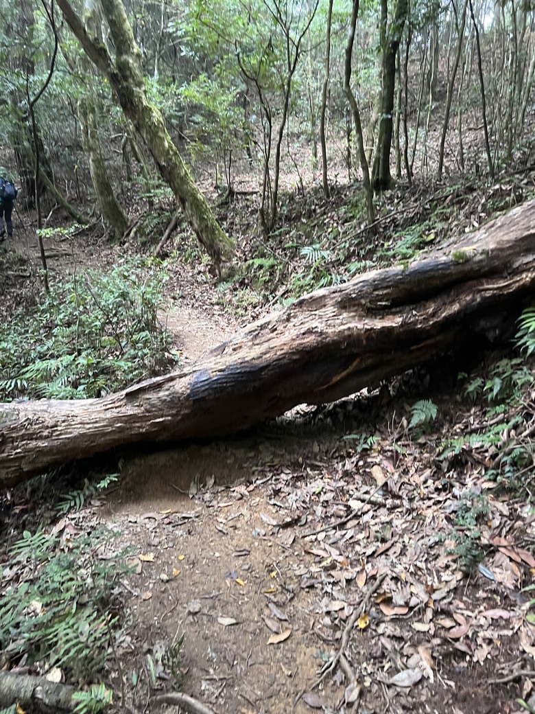 有點累又不會太累的高島縱走