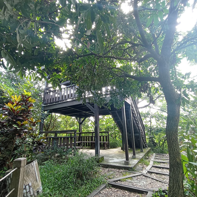點我看大圖 潭子新田登山步道能順便踩點旁邊的小百岳「聚興山」,生意盎然適合全家大小的綠色步道,帶你全部走一趟
