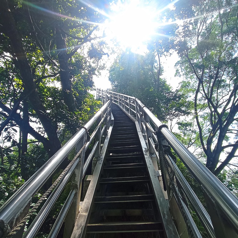 潭子新田登山步道能順便踩點旁邊的小百岳「聚興山」，生意盎然適合全家大小的綠色步道，帶你全部走一趟