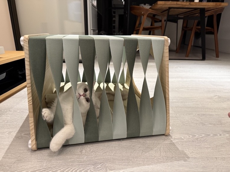 組裝簡單又好看! PETSFIT Modern Style Wood Cat House with Soft Mat 貓屋開箱