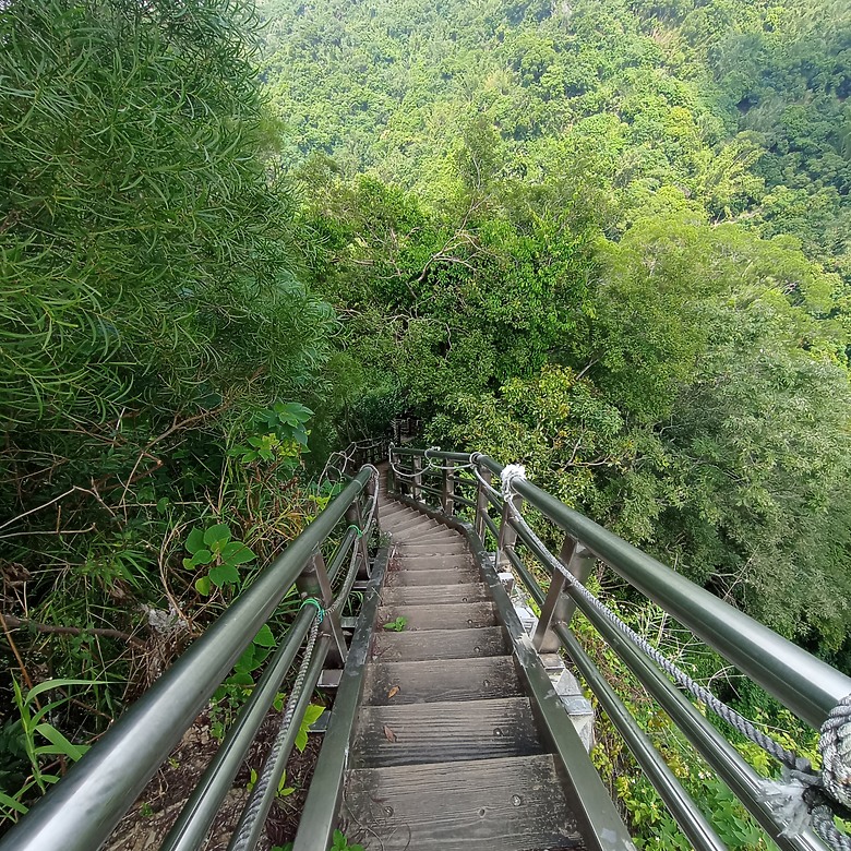 潭子新田登山步道能順便踩點旁邊的小百岳「聚興山」，生意盎然適合全家大小的綠色步道，帶你全部走一趟