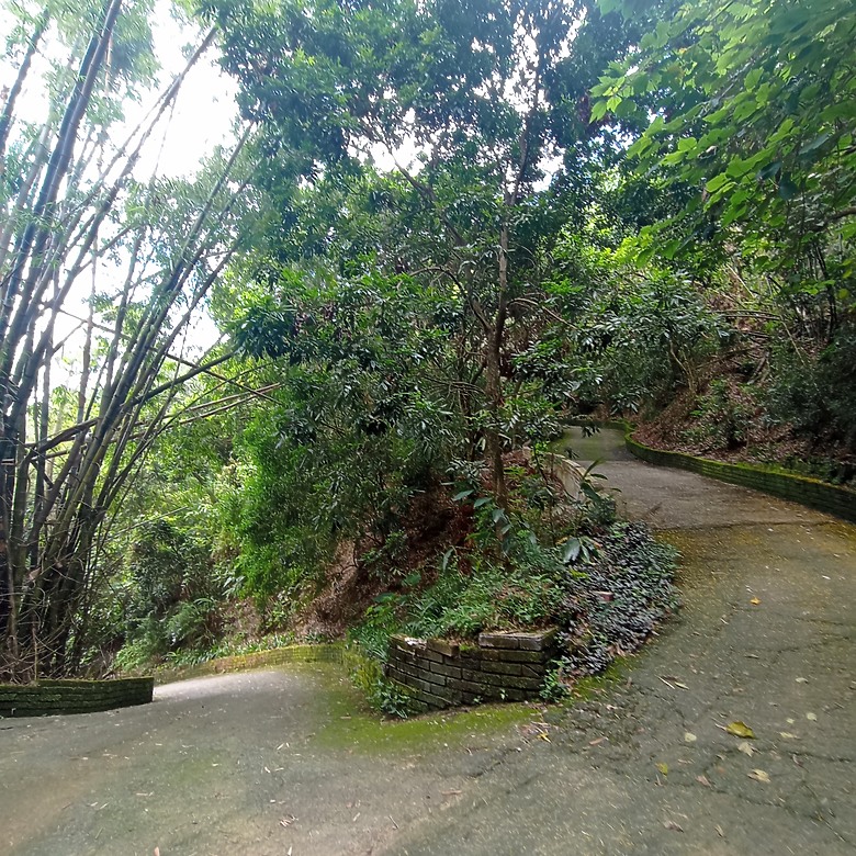 潭子新田登山步道能順便踩點旁邊的小百岳「聚興山」，生意盎然適合全家大小的綠色步道，帶你全部走一趟