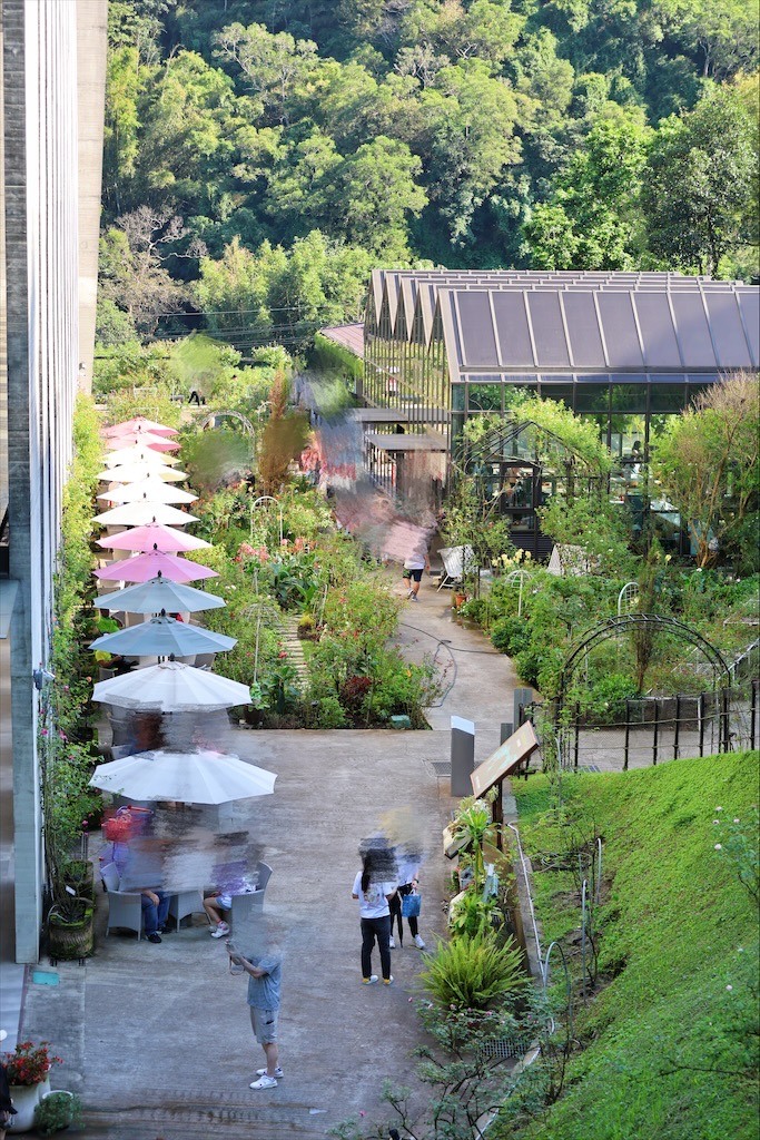 點我看大圖 七里香玫瑰森林花園,一年四季都有不同的風情,走走步道呼吸芬多精,春秋兩季有玫瑰花海可欣賞