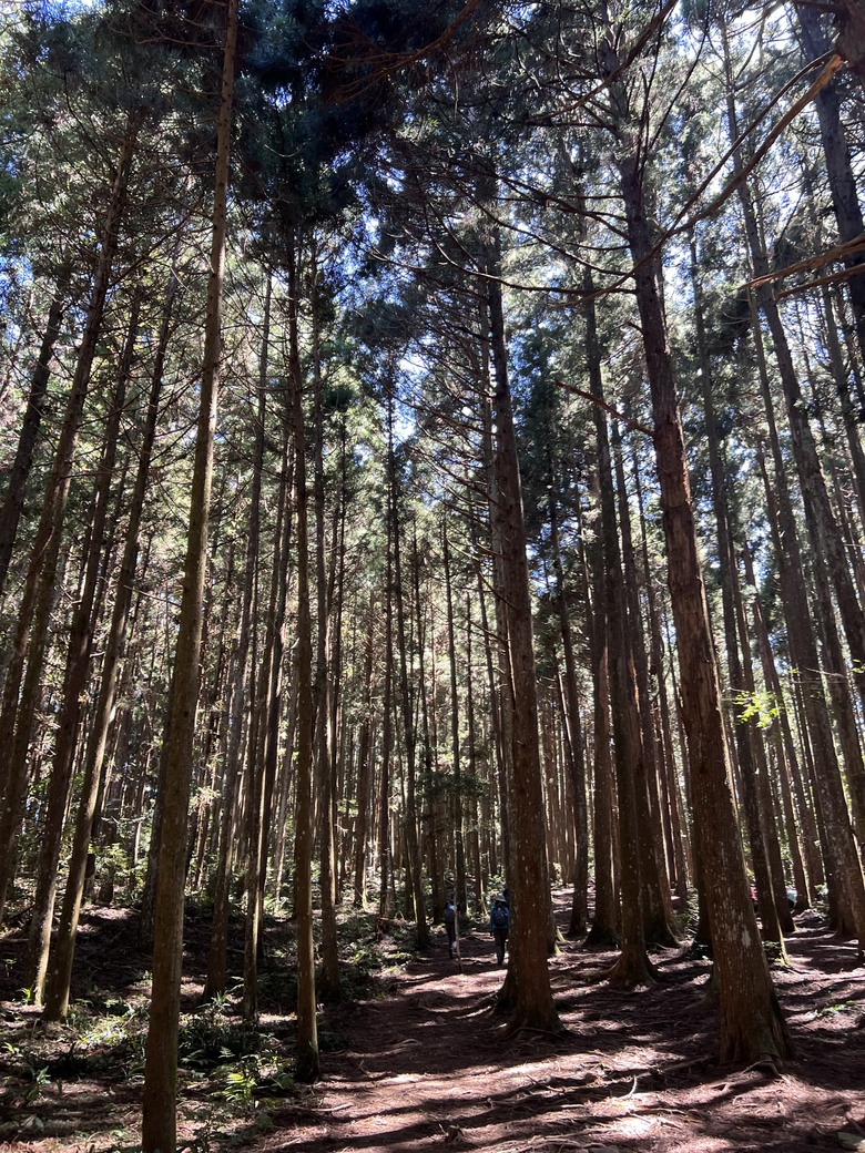 有點累又不會太累的高島縱走