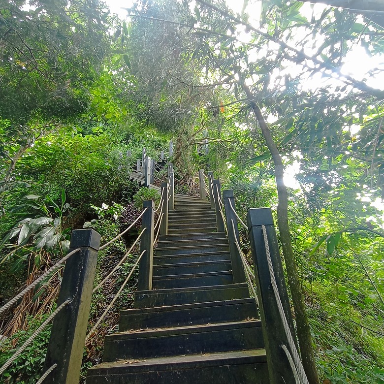 潭子新田登山步道能順便踩點旁邊的小百岳「聚興山」，生意盎然適合全家大小的綠色步道，帶你全部走一趟