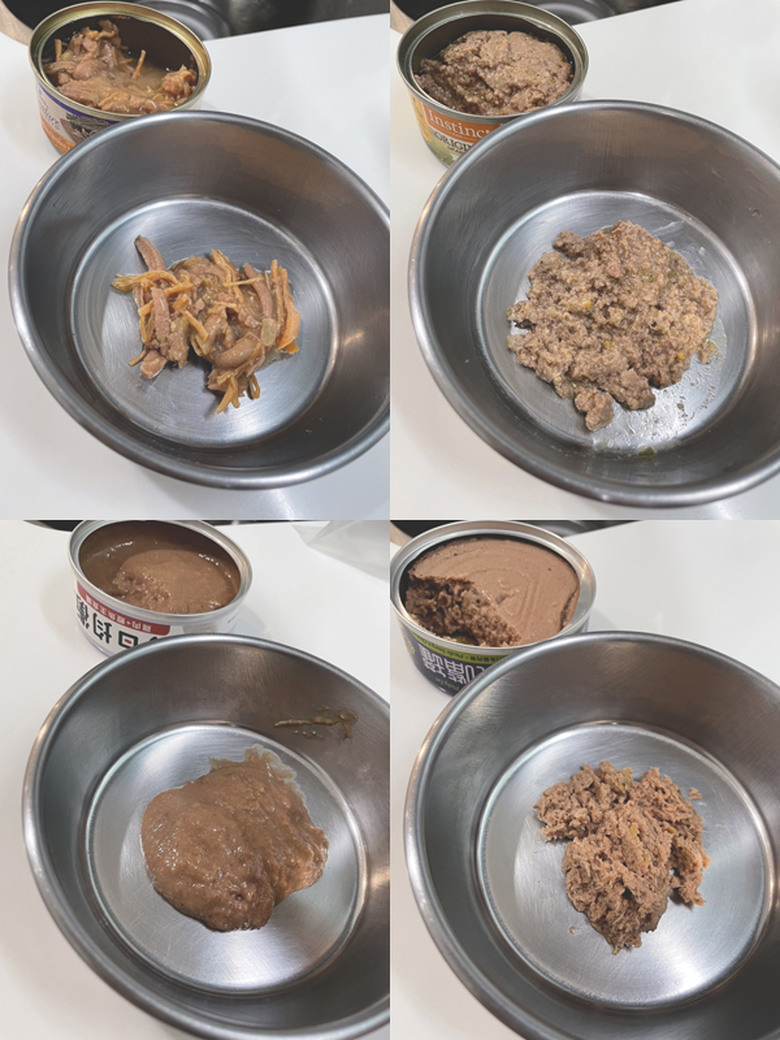 家裡愛吃飼料的主子