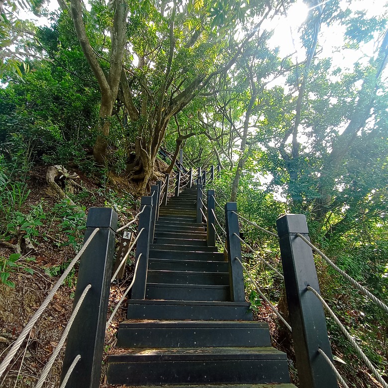 潭子新田登山步道能順便踩點旁邊的小百岳「聚興山」，生意盎然適合全家大小的綠色步道，帶你全部走一趟