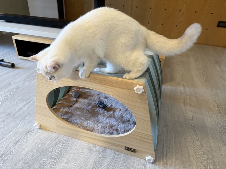 組裝簡單又好看! PETSFIT Modern Style Wood Cat House with Soft Mat 貓屋開箱