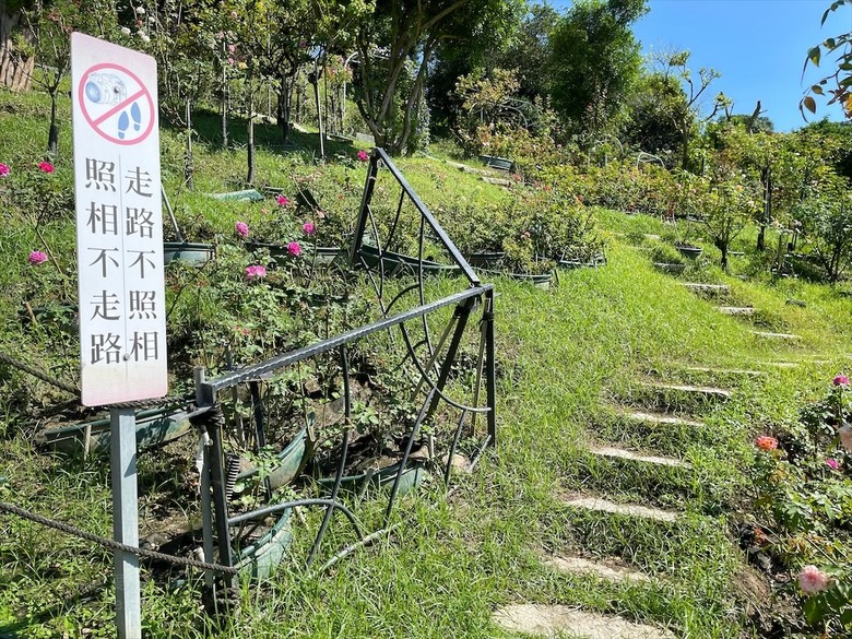 點我看大圖 七里香玫瑰森林花園,一年四季都有不同的風情,走走步道呼吸芬多精,春秋兩季有玫瑰花海可欣賞