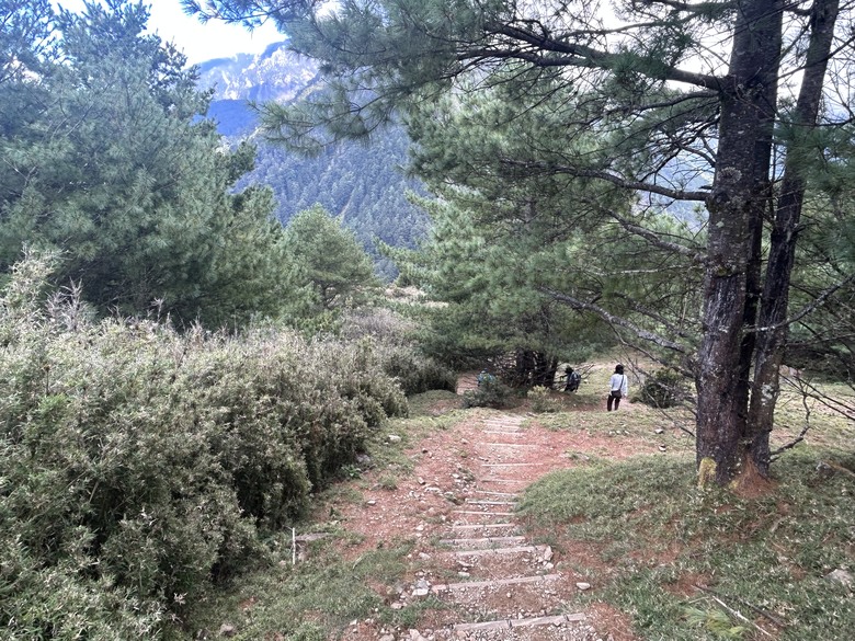 登麟趾山 朝聖台灣之巔玉山