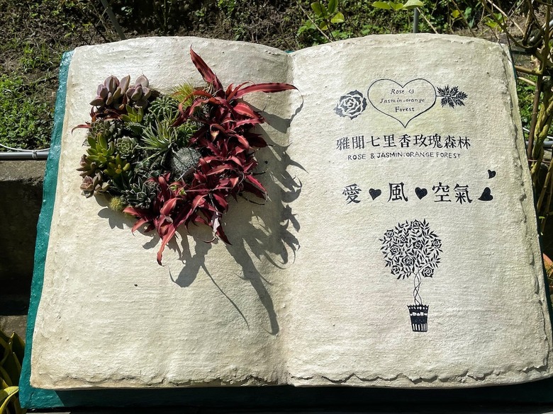 點我看大圖 七里香玫瑰森林花園,一年四季都有不同的風情,走走步道呼吸芬多精,春秋兩季有玫瑰花海可欣賞