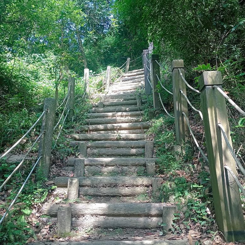 潭子新田登山步道能順便踩點旁邊的小百岳「聚興山」，生意盎然適合全家大小的綠色步道，帶你全部走一趟