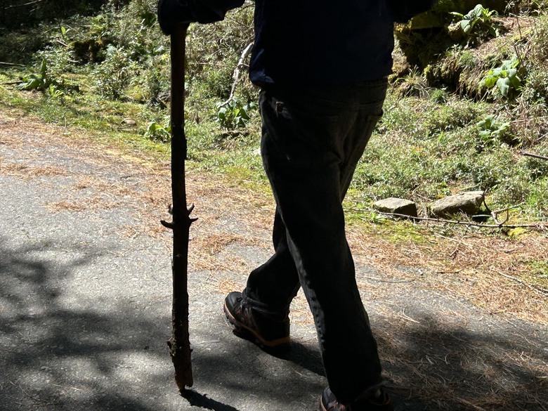 登麟趾山 朝聖台灣之巔玉山