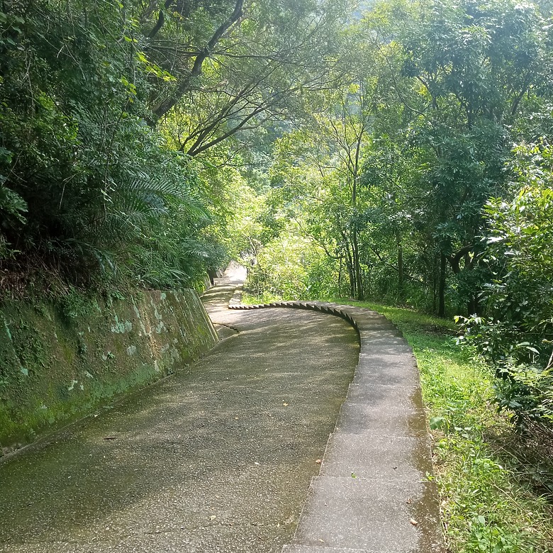 潭子新田登山步道能順便踩點旁邊的小百岳「聚興山」，生意盎然適合全家大小的綠色步道，帶你全部走一趟