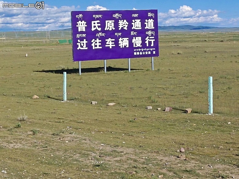 瘋狂之旅 人類禁區-可可西里(12)青海湖 ~ 西寧