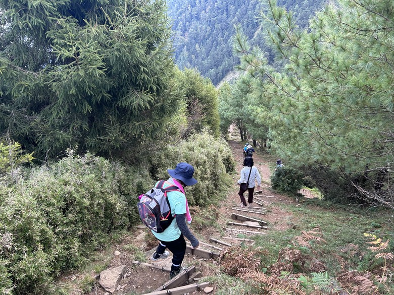 登麟趾山 朝聖台灣之巔玉山