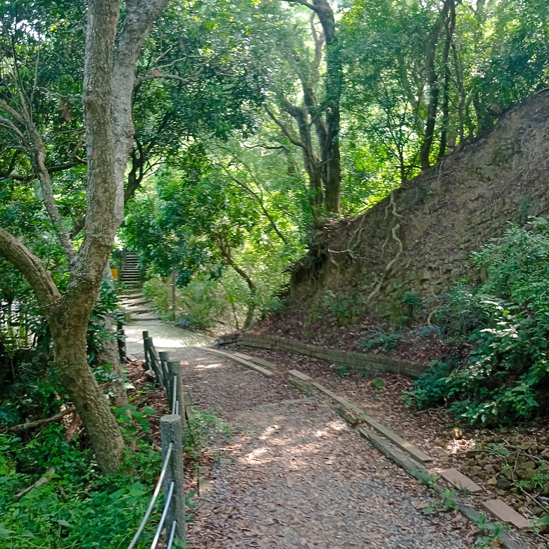 潭子新田登山步道能順便踩點旁邊的小百岳「聚興山」，生意盎然適合全家大小的綠色步道，帶你全部走一趟