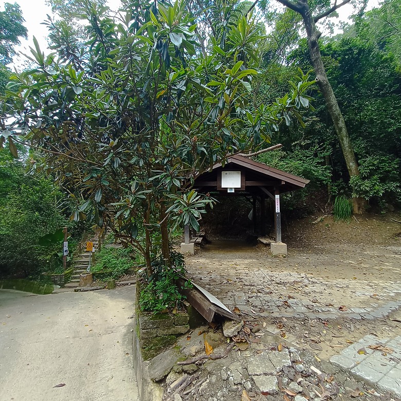 潭子新田登山步道能順便踩點旁邊的小百岳「聚興山」，生意盎然適合全家大小的綠色步道，帶你全部走一趟