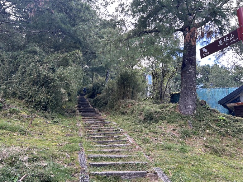 登麟趾山 朝聖台灣之巔玉山