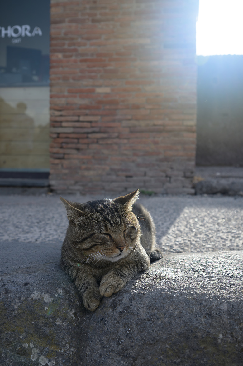 點我看大圖 Z8義大利那不勒斯、梵蒂岡、羅馬(廣角鏡必備)完美ending