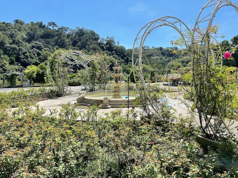 點我看大圖 七里香玫瑰森林花園,一年四季都有不同的風情,走走步道呼吸芬多精,春秋兩季有玫瑰花海可欣賞