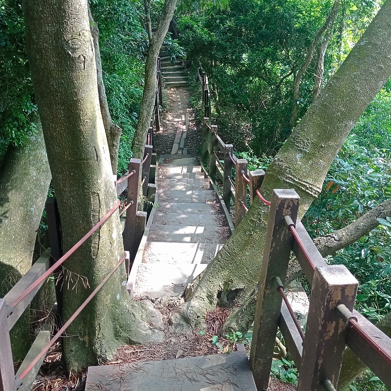 潭子新田登山步道能順便踩點旁邊的小百岳「聚興山」，生意盎然適合全家大小的綠色步道，帶你全部走一趟