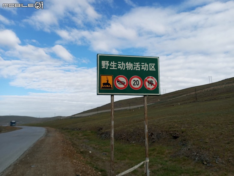 瘋狂之旅 人類禁區-可可西里（9） 到達可可西里