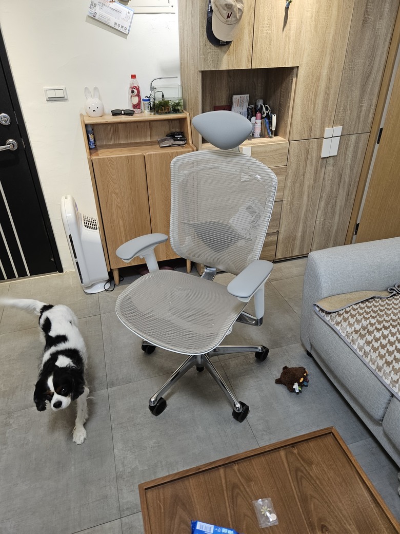人體工學椅對比 - Okamura Contessa II and Herman Miller Embody