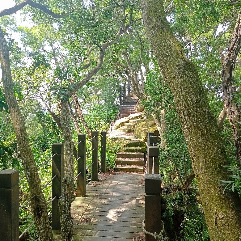 潭子新田登山步道能順便踩點旁邊的小百岳「聚興山」，生意盎然適合全家大小的綠色步道，帶你全部走一趟
