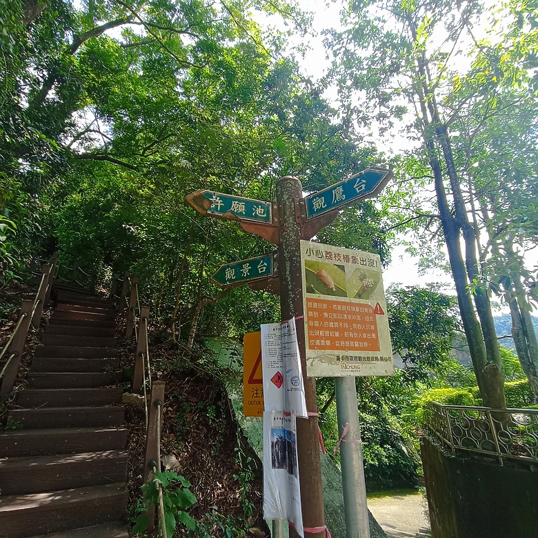 潭子新田登山步道能順便踩點旁邊的小百岳「聚興山」，生意盎然適合全家大小的綠色步道，帶你全部走一趟