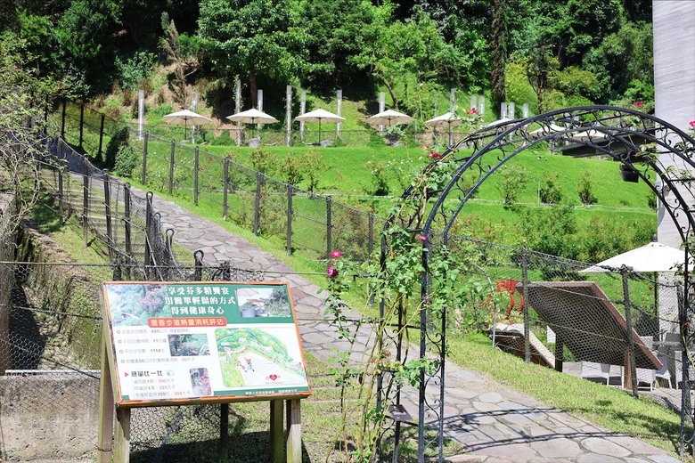 點我看大圖 七里香玫瑰森林花園,一年四季都有不同的風情,走走步道呼吸芬多精,春秋兩季有玫瑰花海可欣賞