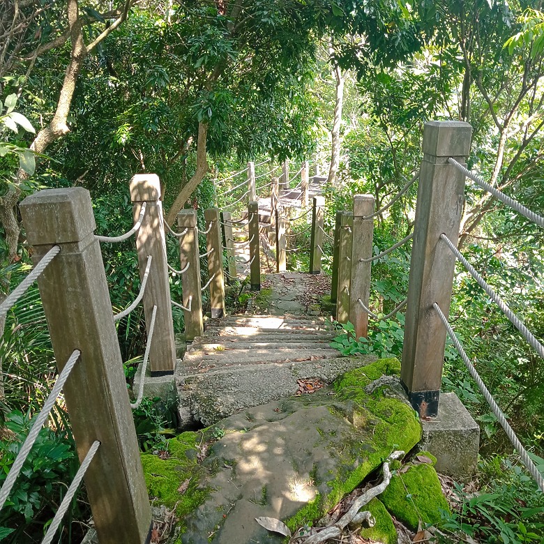 潭子新田登山步道能順便踩點旁邊的小百岳「聚興山」，生意盎然適合全家大小的綠色步道，帶你全部走一趟