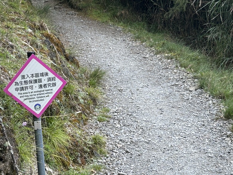 登麟趾山 朝聖台灣之巔玉山