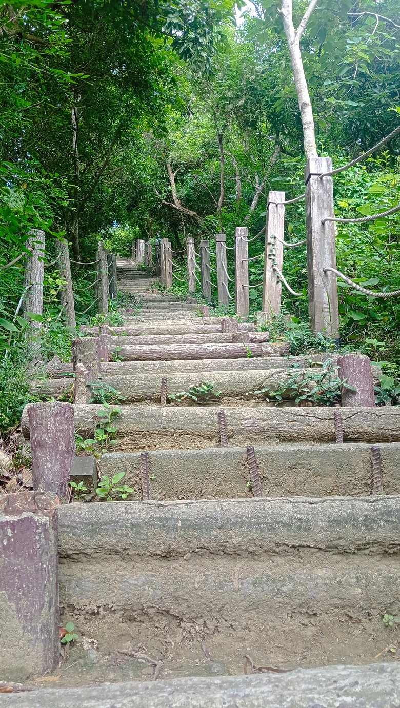 潭子新田登山步道能順便踩點旁邊的小百岳「聚興山」，生意盎然適合全家大小的綠色步道，帶你全部走一趟